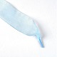 Lacets plats en mousseline de polyester transparent DIY-WH0265-04A-2