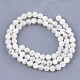 Natural White Shell Beads X-SHEL-T012-49C-2
