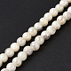 Eau douce naturelle de coquillage perles brins SHEL-C003-10-2