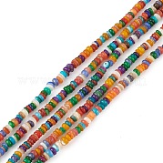 Нити бусины из натуральных пресноводных ракушек цвета радуги SHEL-M018-08A