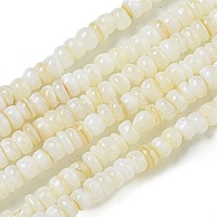 Tinti d'acqua dolce naturale perline shell fili&nbsp;BSHE-G039-07N