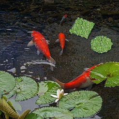 2 набор 2 стилей eva фитопланктон украшения FIND-FH0009-80