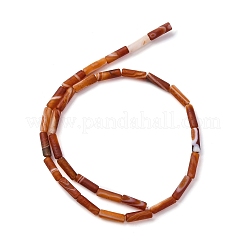 Натуральный красный агат бисер нитей&nbsp;G-P570-A01-01