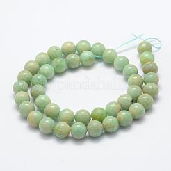 Fili di perline amazonite naturale&nbsp;G-P322-22-10mm