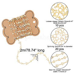 Наборы для самостоятельного изготовления цепочек-ожерельев DIY-CA0002-53