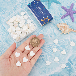 2 нить бусин из натуральных пресноводных ракушек SHEL-SC0001-35