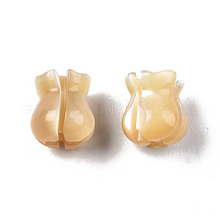 天然トロチッドシェル/トロカスシェルビーズ  花  7.5~8x7x7mm  穴：1mm&nbsp;SSHEL-N003-145A-A01