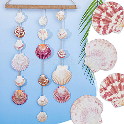 500g ornamenti in conchiglia naturale&nbsp;DJEW-FH0001-35A