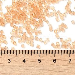 Прозрачное стекло Бисер SEED-S042-21B-05