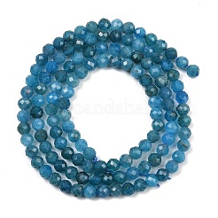 Природного апатита нитей бисера G-E411-36-3mm-01