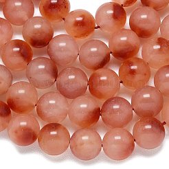 Chapelets de perles en jade de malaisie naturelle&nbsp;G-B165-C01-14mm
