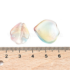 Стеклянные бусины смешанных стилей&nbsp;GLAA-XCP0001-70I