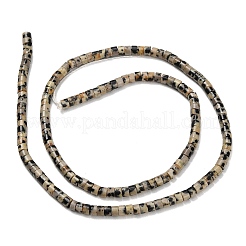 Природные яшмы далматин бисер нитей&nbsp;G-P608-A04-01