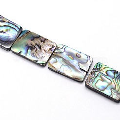 Природные пауа бусы нити&nbsp;SSHEL-J047-10B-01