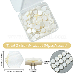 2 нить бусин из натуральных пресноводных ракушек SSHEL-SC0001-36C