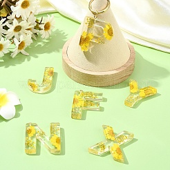 26шт 26 стиля прозрачные подвески из эпоксидной смолы CRES-YW0002-28L