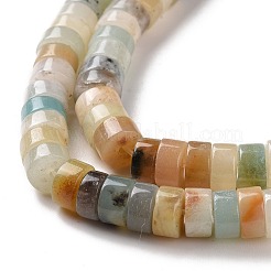 Brins de perles d'amazonite de fleurs naturelles&nbsp;X-G-D481-06