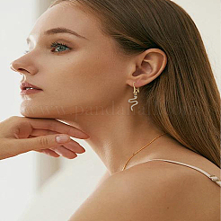 10 шт латунные серьги крючки&nbsp;KK-LP0004-02