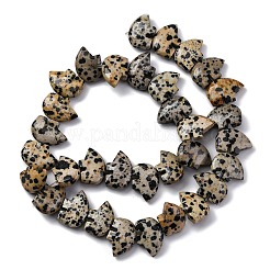 Природные яшмы далматин бисер нитей G-F783-G06-01