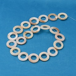 Нити бусин из натуральной белой ракушки X-PBB-XXBK014Y-13