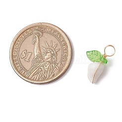 Подвески из натуральной морской ракушки&nbsp;PALLOY-JF03610-02