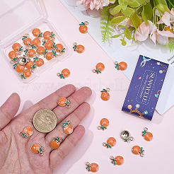 40 шт. Подвески из сплава с эмалью&nbsp;ENAM-SC0007-20