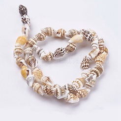 Нити бусин из натуральных морских раковин BSHE-K012-07