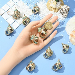 5 шт. подвески из натуральной морской ракушки&nbsp;SSHEL-YW0001-11