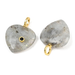 Natur Labradorit Anhänger&nbsp;G-D104-01G-10