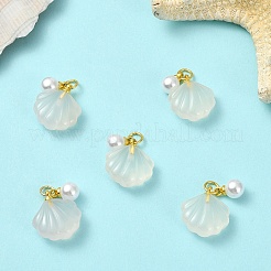 5 шт. подвески в форме ракушки из натурального агата&nbsp;G-YW0002-43