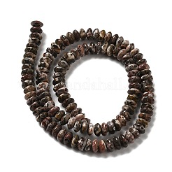 Натуральные леопардовые шкурки из яшмы G-Z030-A07-01