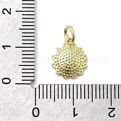 Латунь эмаль подвески&nbsp;KK-P338-19G-01