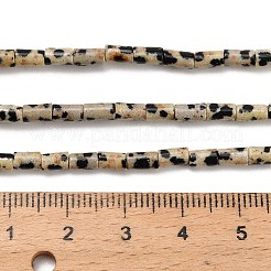 Природные яшмы далматин бисер нитей G-P600-B01-01