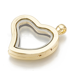 Сплав магнитные подвески медальон&nbsp;PALLOY-T052-13G