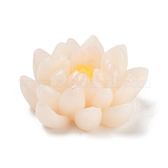 Двухцветная непрозрачная смола декодирует кабошоны RESI-K042-01B