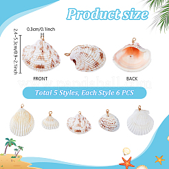 30шт. подвеска из натуральной ракушки в 5 стилях PALLOY-PH01860