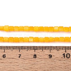 Окрашенные нити бусин из натуральных пресноводных ракушек SHEL-T020-56B