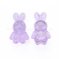 Perles en acrylique transparente&nbsp;LS-MACR-S373-81-B05