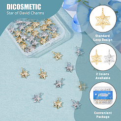 Подвески из сплава 40шт 2 цветов&nbsp;FIND-DC0005-50