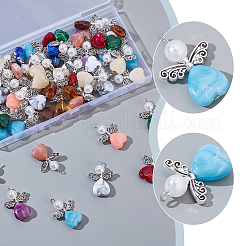 60 шт. двухцветные акриловые подвески&nbsp;PALLOY-AR00040