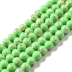 Fili di perle sintetiche turchesi e conchiglie montate&nbsp;G-D482-01D-02