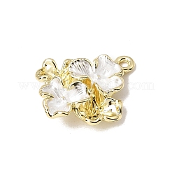 Pendentifs d'émail en alliage&nbsp;FIND-E062-03