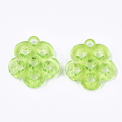 Прозрачные акриловые подвески&nbsp;TACR-S133-076