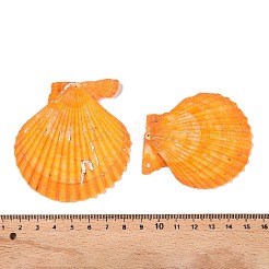Подвески из натуральной неокрашенной ракушки гребешка большие SHEL-T020-01