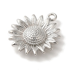 Стойки обшивки латунные подвески&nbsp;KK-A229-21P