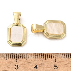 Акриловые подвески&nbsp;PALLOY-P303-16G