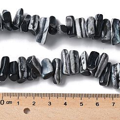 Окрашенные нити натуральных бусин-ракушек трохуса SSHEL-C013-09A