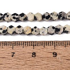 天然石ダルメシアンジャスパービーズ連売り  六角  3.5~4x4~4.5x2~3.5mm  穴：0.5~0.6mm  約95~104個/連  15.16~15.94インチ（38.5~40.5cm）&nbsp;GG-N002-02A-02