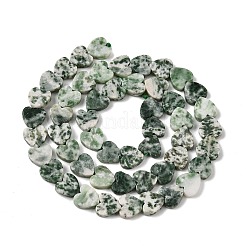 Натуральные зеленые пятна яшмовых нитей G-M403-A22-03