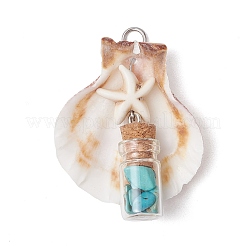 7 шт. 7 стиля подвески в виде морской звезды из натуральной ракушки гребешка и окрашенной синтетической бирюзы PALLOY-JF03564-02